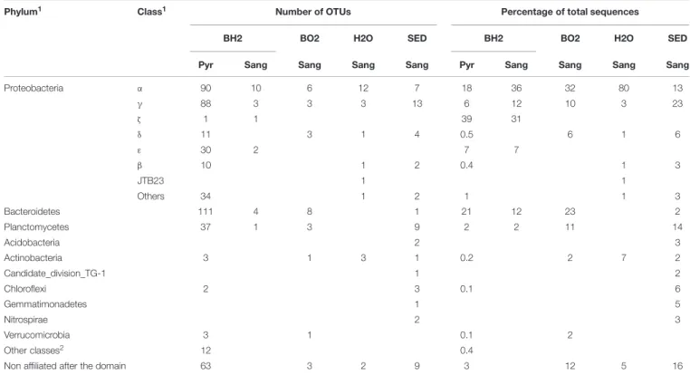 TABLE 1 | Distribution of phyla and classes retrieved from the oxidized and the reduced basaltic glass incubated in situ (BO2 and BH2), the sediment (SED) and the water (H2O) samples using Sanger sequencing (Sang) and pyrosequencing (Pyr).
