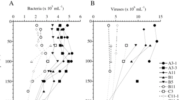 Figure 2. Depth profiles of bacterial (a) and viral abundance (b) in the Kerguelen study area