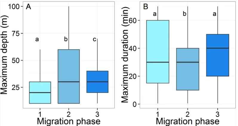 Fig 7. Box plots of (A) the maximum depth (m) and (B) the maximum duration (min) recorded by the 14 Argos-Fastloc GPS tags during the three migration phases