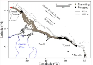 Fig 1. Locations of the 19 green turtles equipped in 2012 and 2014 for the two behavioral modes, i.e.