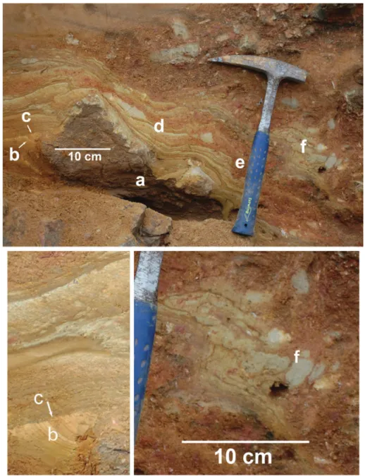 Fig. 10. (Colour online) Site A: laminated sediments (box ‘a’ of Fig. 9) with detailed pictures below 