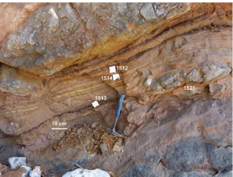 Fig. 13. (Colour online) Site A: graded laminae (box ‘d’ of Fig. 9), with position of samples