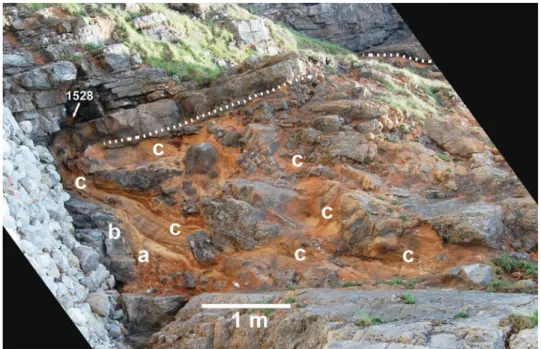 Fig. 16. (Colour online) Weathered rock and laminated sediment of site A. The picture has been straightened to show the site as it was before the Variscan  folding: the limestone bed at the base of the picture has been set as horizontal