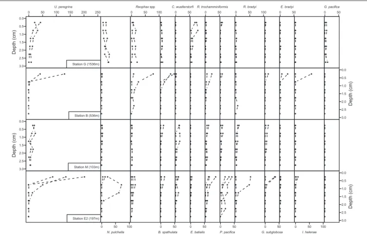 FIGURE 5 | Vertical distribution of the 13 major species at the four sample locations