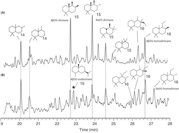 FIGURE 6  Partial m/z 109 + 123 + 179 + 193 mass fragmentograms showing the distribution of bicyclic alkanes from aliphatic fractions  of two representative samples: (A) SAUZ OG 001-g; (B) ND OG 004-g