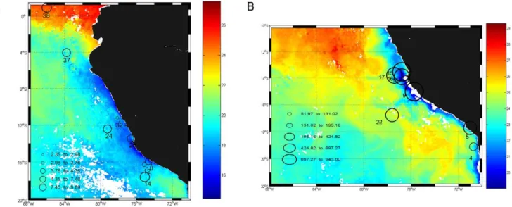Table 1. Geographical location and hydrographic features of the stations visited during cruises Knorr and Galathea 3.