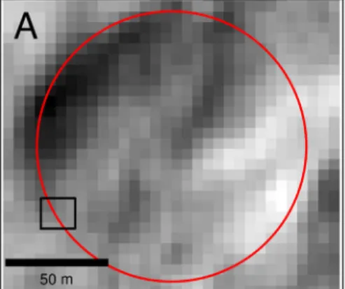 Fig. 1. The crater (red circle) is mapped on a CTX stereo-image (A). Depth is measured from the associated CTX DEM (B)