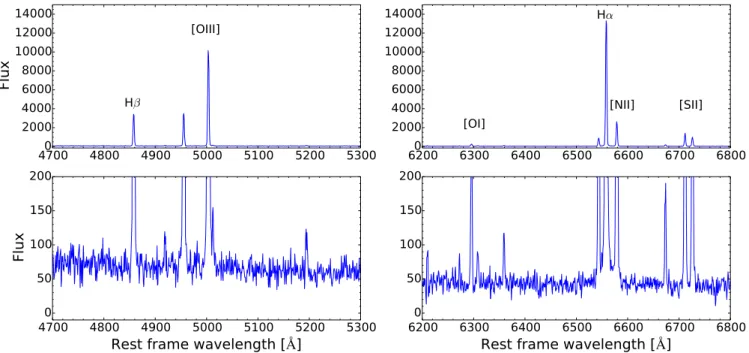 Fig. 1. Top: spectrum of a single spaxel, before the re-binning, at the position of the brightest region with the position of the main emission lines.