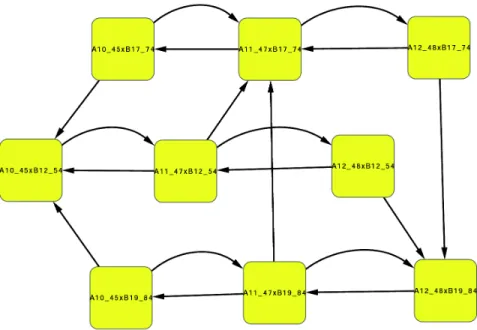 Figure 6: The exponential growth phase attractor (model f g rp , case IV). Since the B α4 j components are all equal, this attractor can be reduced to (either) one of the horizontal rows, with three components only (see text for more details).