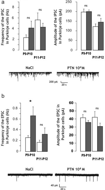 Fig. 3 Effect of subarachnoidal injections of PTN on the spontaneous  postsynaptic current on Purkinje cells during development