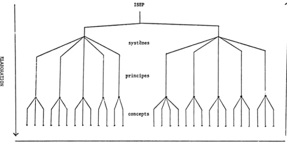 Figure 2. Phénogramme représentant la taxonamie de l'ISEP. 
