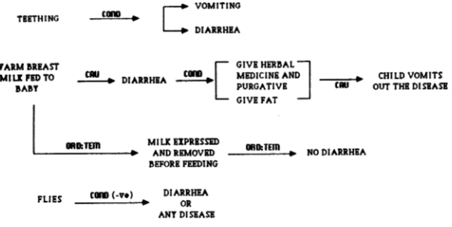 Figure  1: Structural  representation  of  causality  and  treatment  or  diarrheal  disease  by  an  unschooled  Maasai  mother  (#2) 