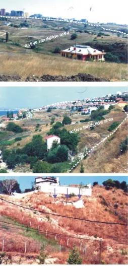 Fig. 2. Some typical views from the study area (many buildings were constructed in the active landslides).