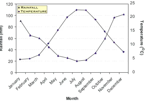 Fig. 10. Average annual rainfall and temperature graph of the data from Florya Meteorology Station.