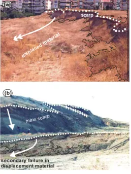 Fig. 13. Some typical views from the landslides in the area.