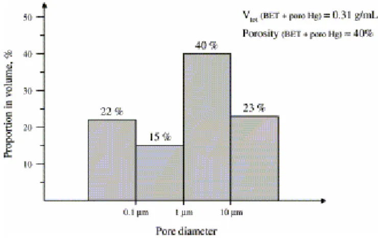 Fig. 3. Pore space proportion of tuffeau from mercury porosimetry and BET method. 