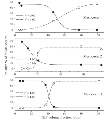 Fig. 7. Strombidium sulcatum. Temporal variations of the per- per-centage attached to mucous aggregates after 24 h of 