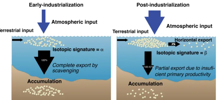 Fig.  5.  Schematic  representation  of  our  hypothesis  on  the  atmospheric  and  water-column  fluxes  of  412 