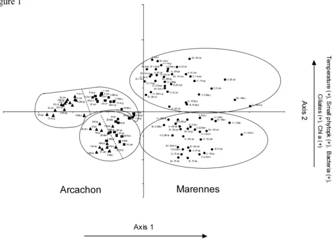 Fig. 1. Ordination by principal component analysis (PCA) of the basin stations obtained from microbiological, physical and chemical log transformed 914 