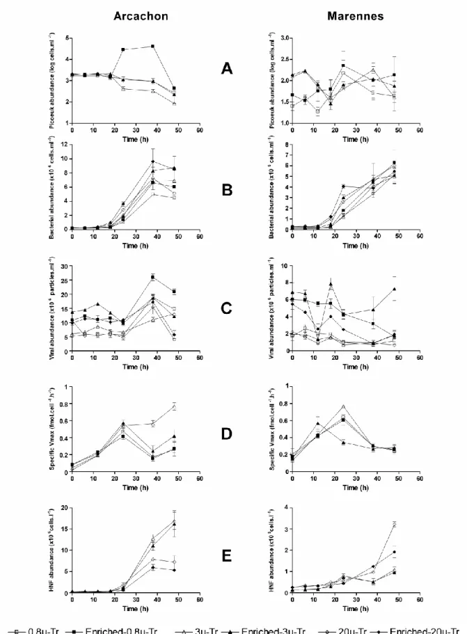 Fig.  3.  Time  course  of  the  logarithmic  abundance  of  picophytoeukaryotes  (A),  abundance  of 930 