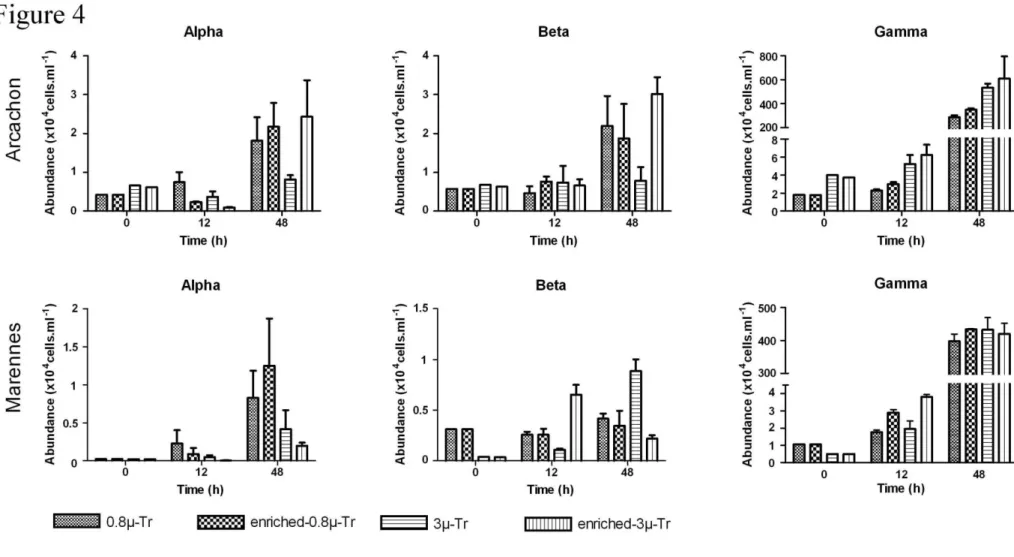 Fig.  4.  Bacterial  community  composition  based  on  FISH  analysis:  dynamics  of  Alpha-,  Beta-  and  Gamma-proteobacteria  in  different  treatments  of 937 