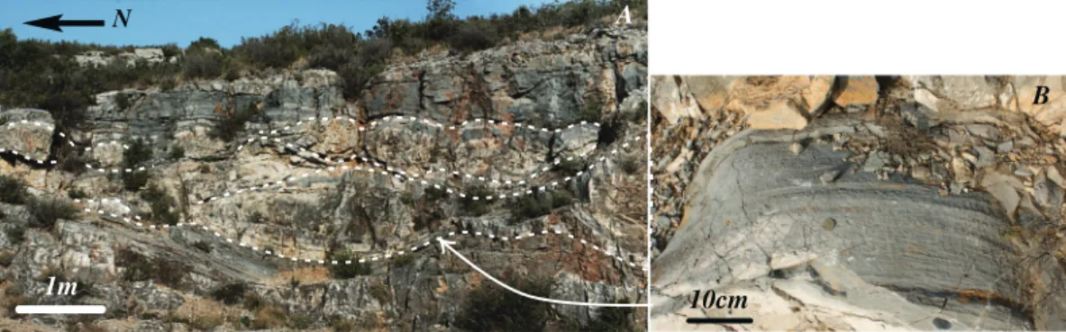 Figure 4. Tectonic fabric associated with the preorogenic ductile deformation of mesozoic metasediments