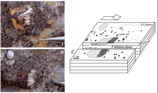 Figure 6. Calcite fringes crystallized in the pressure shadows around detritic bodies in Middle Jurassic lime- lime-stones (a and b; close to sample 10AG2)