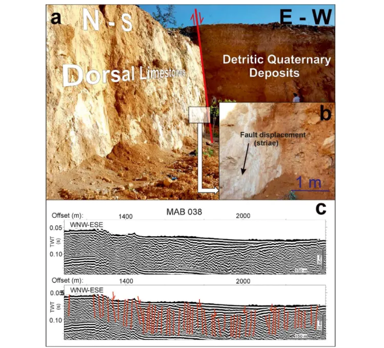 FIGURE 7 | Onshore–offshore link in the Al Hoceima region with the illustration of the onshore Sidi Abed normal fault and the offshore Bokkoya normal faults.