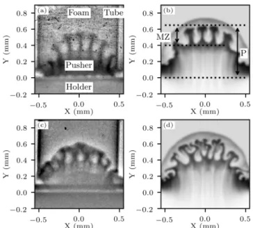FIG. 4. Experimental interface position (a) and MZ (b) as a function of time, in both mono-mode and bi-mode cases,  com-pared with the associated simulations