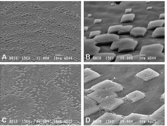 Figure 3. SEM images of nacre surface of pearl oyster kept at a depth of 30 m (A: ×1,000; 