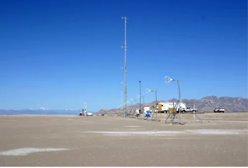 Fig. 1. Looking East at the array of CSAT3 sonic anemometers at the SLTEST site in May, 2005
