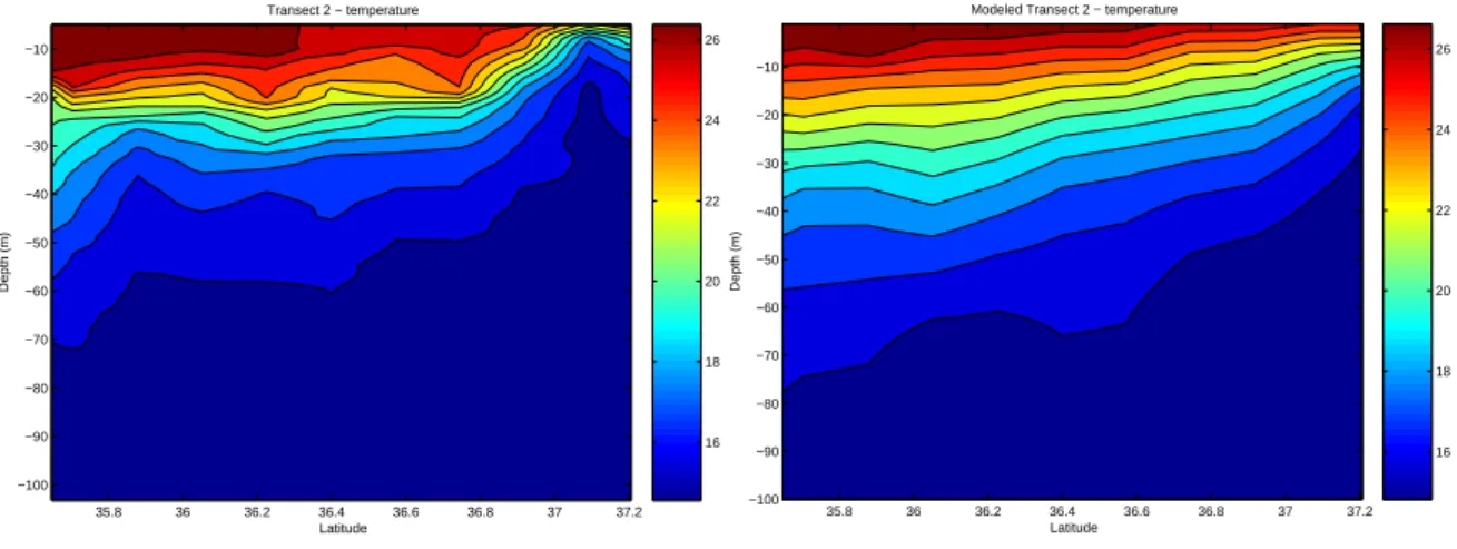 Fig. 13. Vertical cross section of temperature along the T2 transect: Measurements (left) and simulation (right)