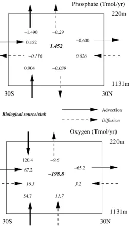 Fig. 9. Budgets of phosphate (left) and oxygen (right) in the 220–1131 m depth range from 30 S to 30 N in the PRINCE2A model of Gnanadesikan et al