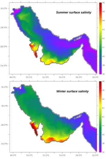 Figure 11. Simulated surface salinities averaged over (top) summer months (June- (June-August) and (bottom) winter months (December-February)