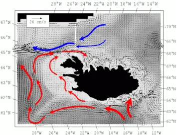 Fig. 5. Simulated mean velocity for the period 1997–2003 in 100 m depth. Scale refers to black arrows; coloured arrows are schematic.