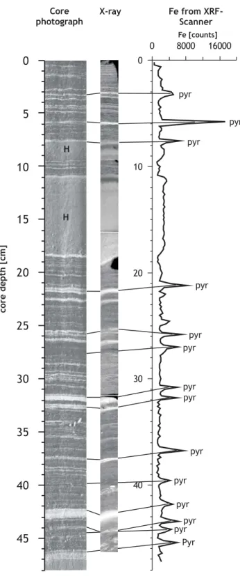 Fig. 3. Correlation between general lithology (left), X-radiography (middle) and Fe-intensities measured by XRF-scanner on multicore GeoB 7805-1