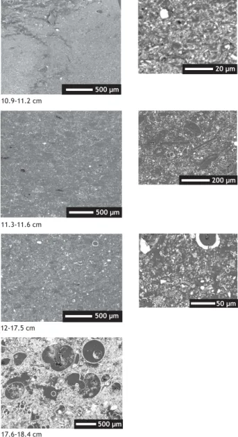 Fig. 8. BSEI photographs of homogenous interval in the late Holocene (10.9–18.4 cm, multicore GeoB 7805-1)