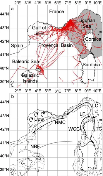 Fig. 1. The northwestern Mediterranean Sea. (a) Main basins, the International Sanctuary for Marine Mammals, Pelagos (grey area) and the effort realised during surveys in summer from 1995 to 2005 (red lines); (b) Topographic and oceanographic features: 200