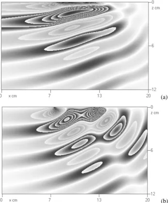 Fig. 1. Pattern of attached internal waves for horizontal (a) and ver- ver-tical (b) components of velocity