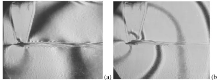 Figure 3. Pattern of flow around the horizontal strip moving from left to right (  = 2.5 cm,  T