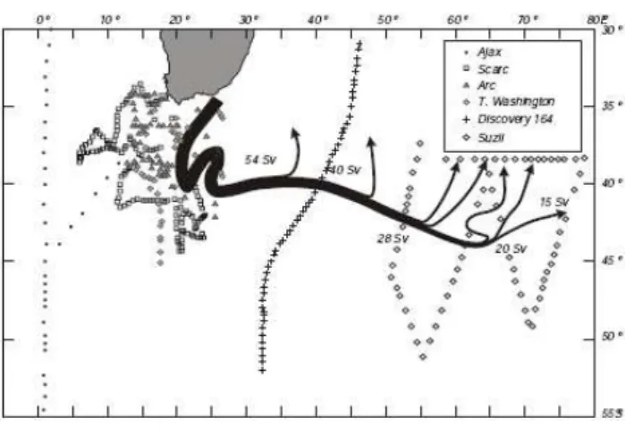 Fig. 13. The trajectory and volume flux of the Agulhas Return Cur- Cur-rent based on a collection of hydrographic data collected over the past few decades (after Lutjeharms and Ansorge, 2001)