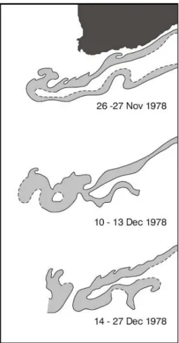 Fig. 8. A combination of outlines of the Agulhas Current for the periods shown from thermal infrared satellite imagery (after  Lutje-harms and van Ballegooyen, 1988b)