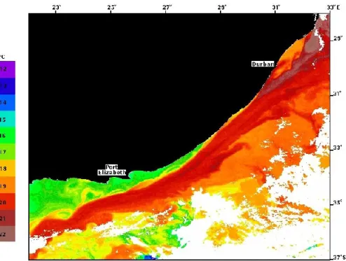 Fig. 2. The surface expression of the northern Agulhas Current from satellite thermal infrared.