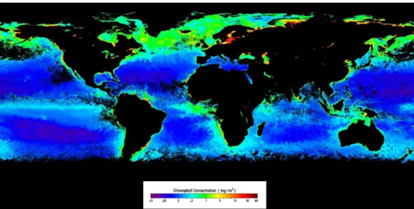 Fig. 7. Global chlorophyll concentration from MODIS for July 2005.