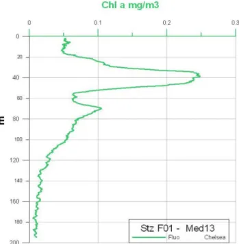 Fig. 15. Fluorescence profile obtained with the expendable proto- proto-type n. 623 on St
