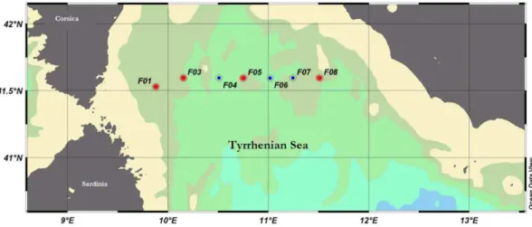 Fig. 14. Transect effectuated during MedGOOS13 on November 2006. The red spots correspond to the stations where four of the expendable prototypes were launched