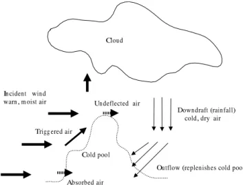 Fig. 1. Schematic of phenomenology used in the model. Warm, moist incident wind strikes the much denser cold, dry pool, and is either triggered above the LFC or not, depending upon the local gradient of the cold pool