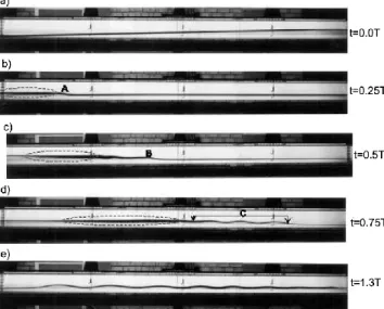 Fig. 7. Time series of case 2 (Fig. 2), the numerical calculations of the density fields for the same time slices as the prototype laboratory tank experiment given in Fig