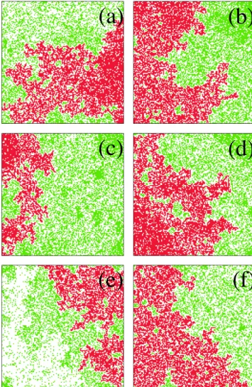 Fig. 2. Evolution of the model between two grid-spanning fires. (a) The initial spanning fire is illustrated; (b) Distribution of unburned trees just after the fire; (c) Distribution of trees ≈ 25% of the time until the next spanning fire; (d) Distribution