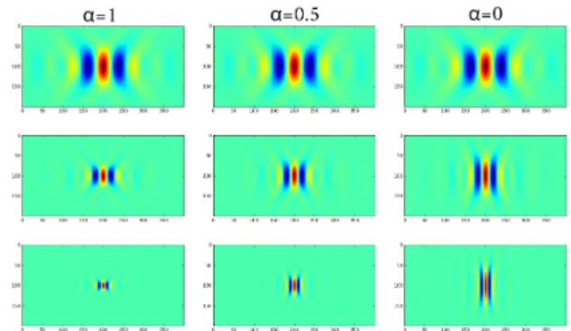 Fig. A.1. Example of a cartoon-like function. Such a function f is smooth, apart from a jump discontinuity along a curve γ